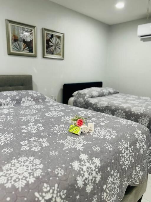 Grey Novo Studio + Free-Parking&Wifi Tampa Exterior foto